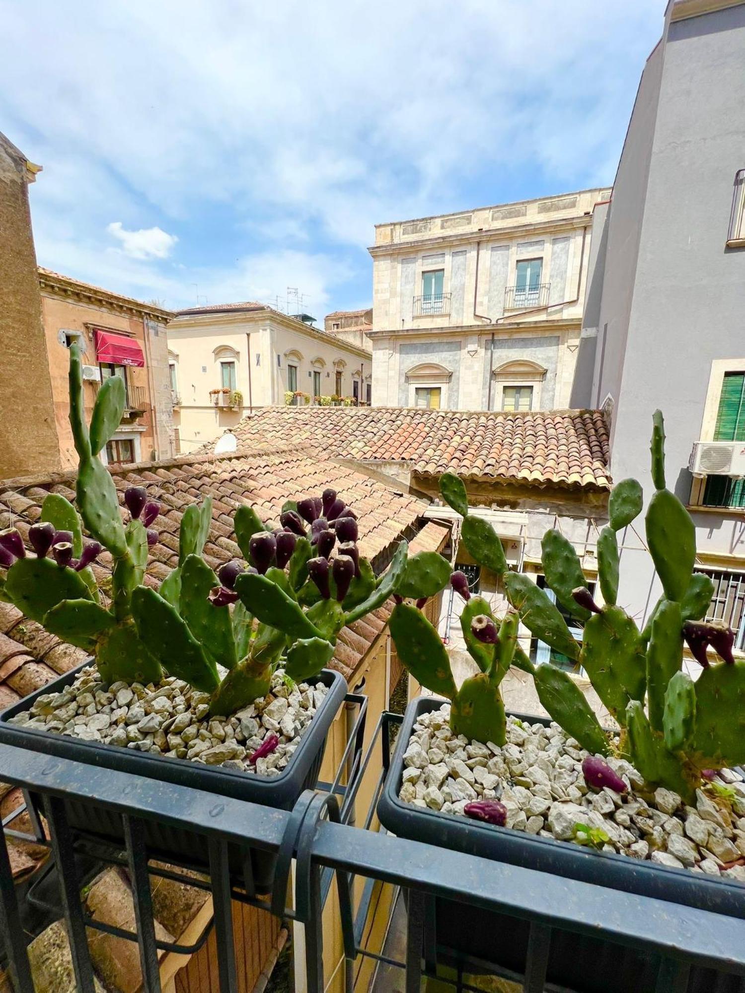 Erasmo 19 Luxury Home Catânia Exterior foto